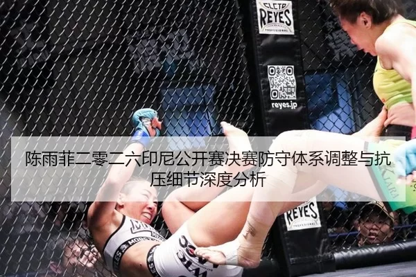 陈雨菲二零二六印尼公开赛决赛防守体系调整与抗压细节深度分析